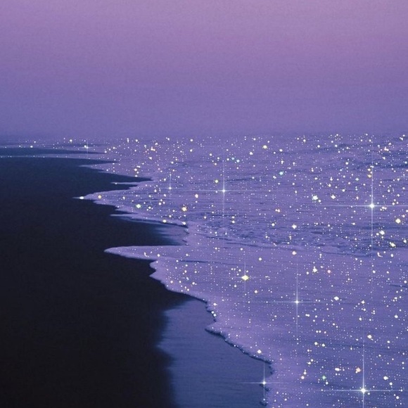 Meet your Posher, Perla - Picture 1 of 1